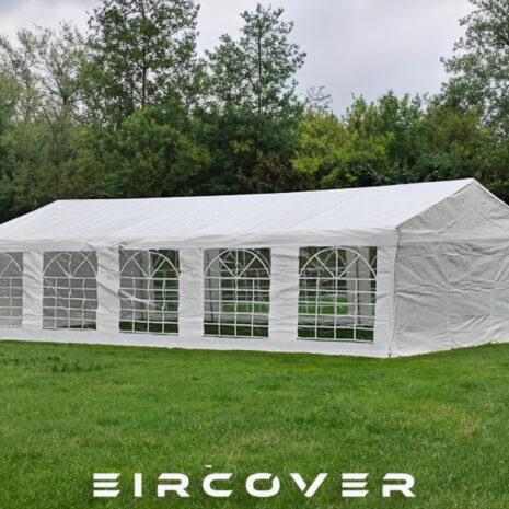 Firefly 20240315161129 copy Firefly 20240315161129 copy